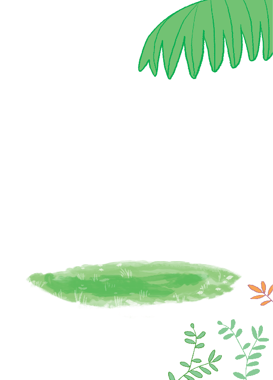 Rectangle