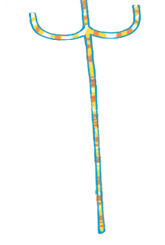 Rectangle