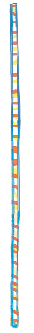 Rectangle