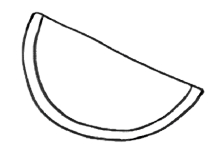 Rectangle