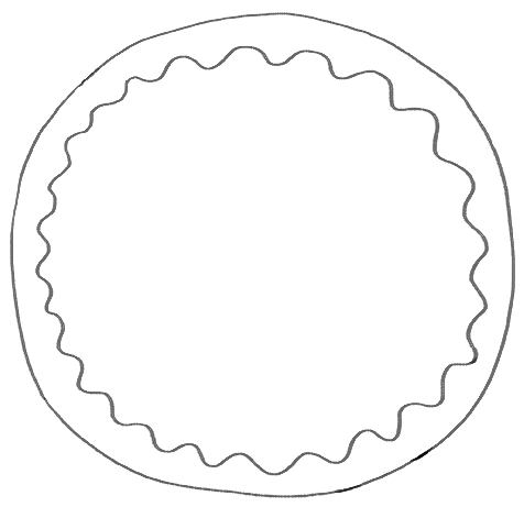 Rectangle