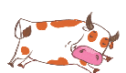 Rectangle