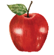 Rectangle
